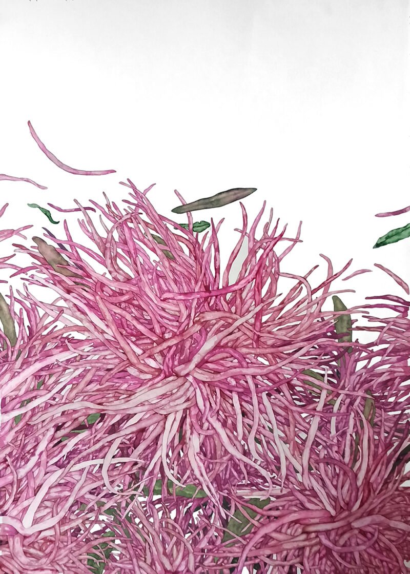 Anna Bulkina diptikas "Astrai/ Aster" - Image 2