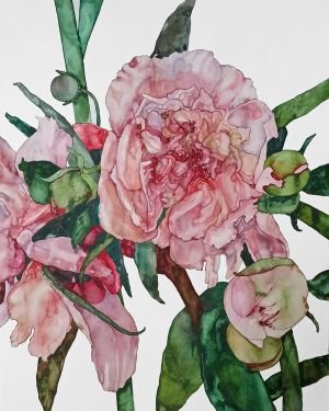 Anna Bulkina “Bijūnai/ Peonies”