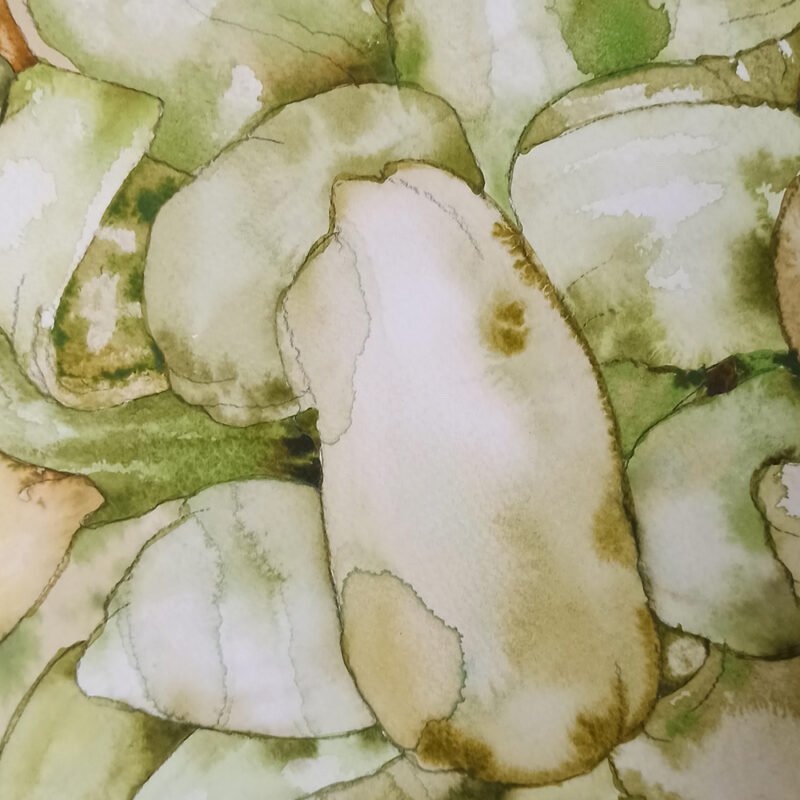 Anna Bulkina "Chrizantemos/ Chrysanthemums" - Image 2